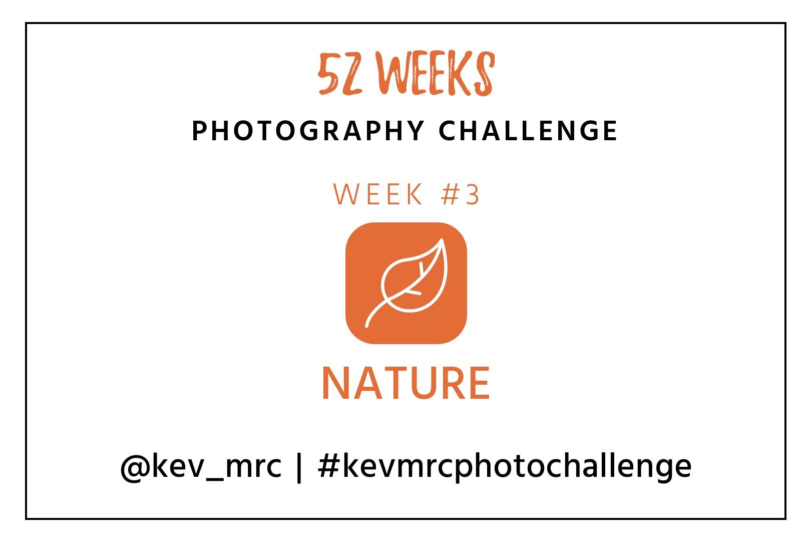 Photography Challenge – Week 3 : Nature