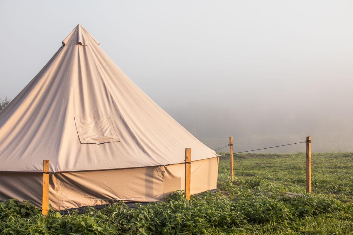 a big standing room tent in the mist