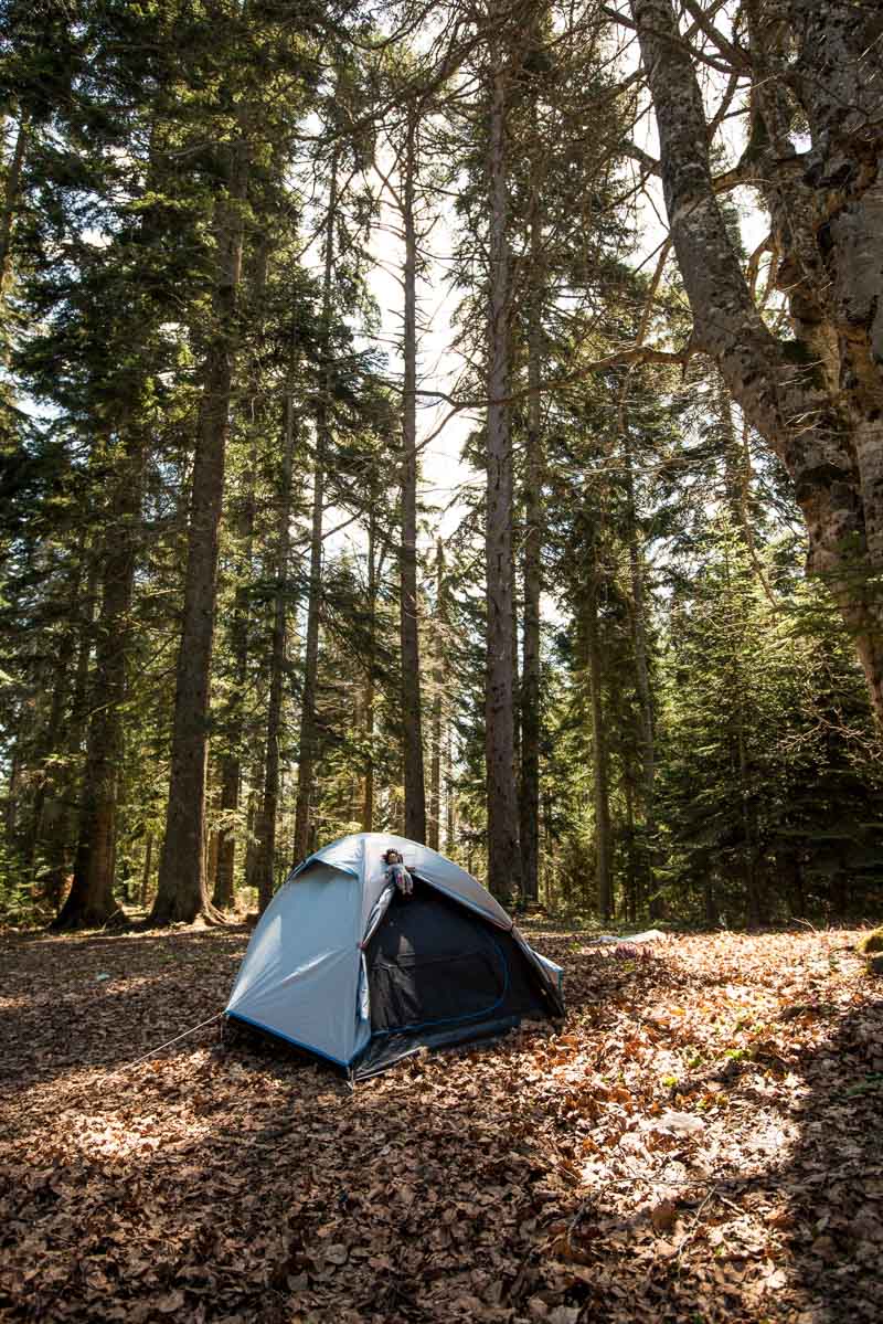 a blue 4 man double skin tent in the forest