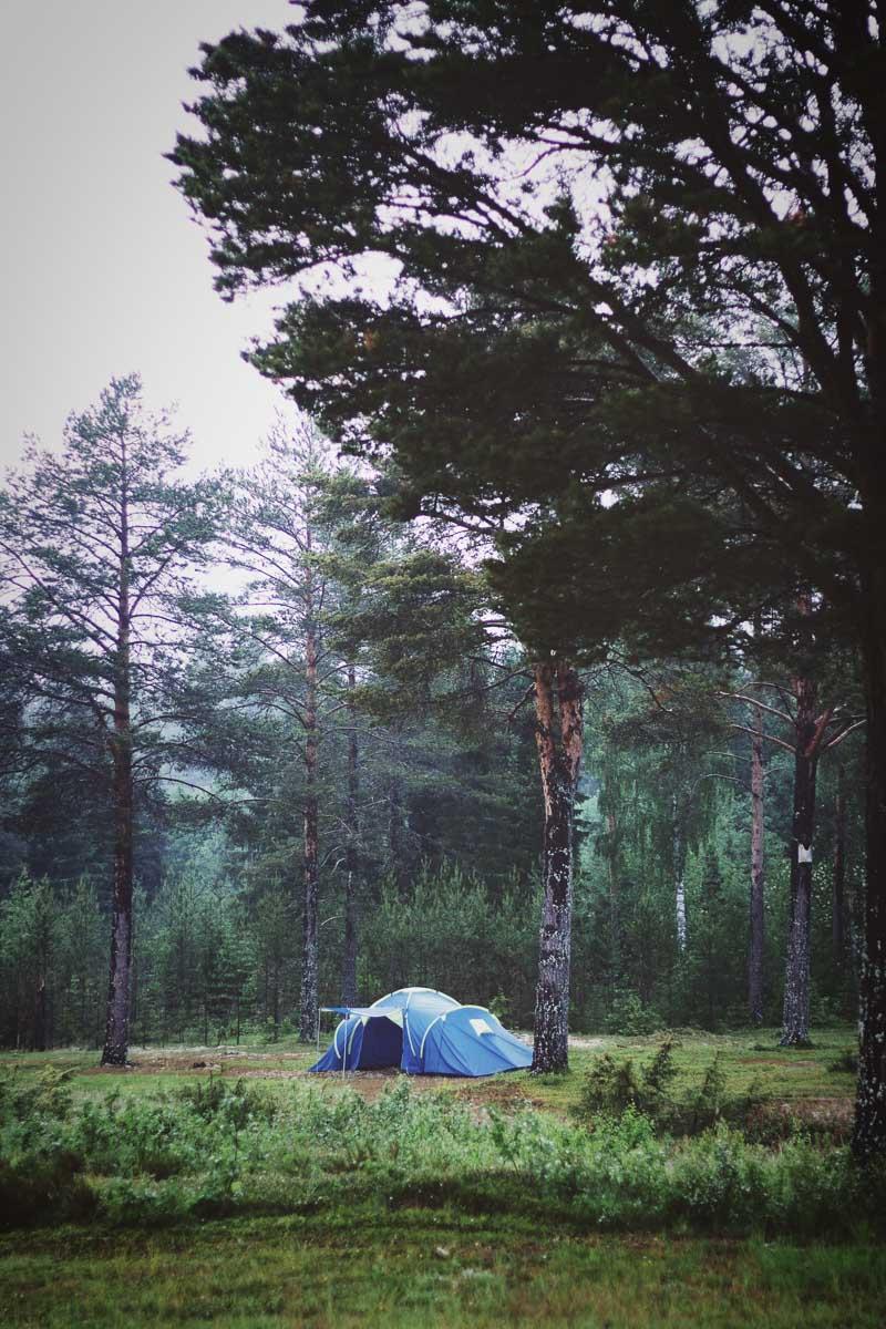 a blue 4 person waterproof tent in the middle of the forest