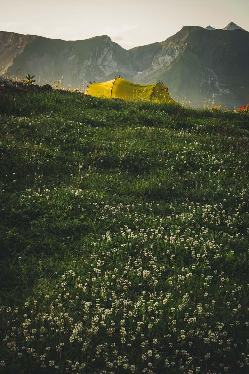 a yellow 4 people tent in nature