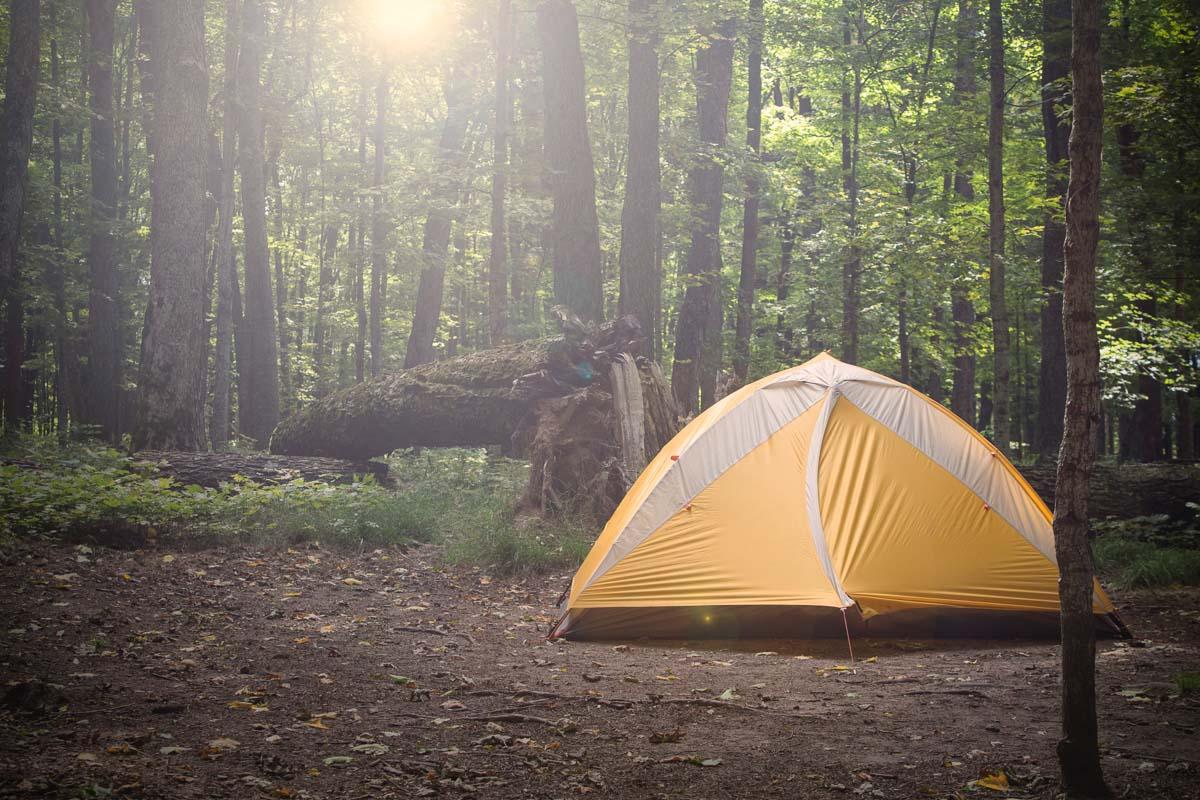 a yellow 6 person tent with screen room