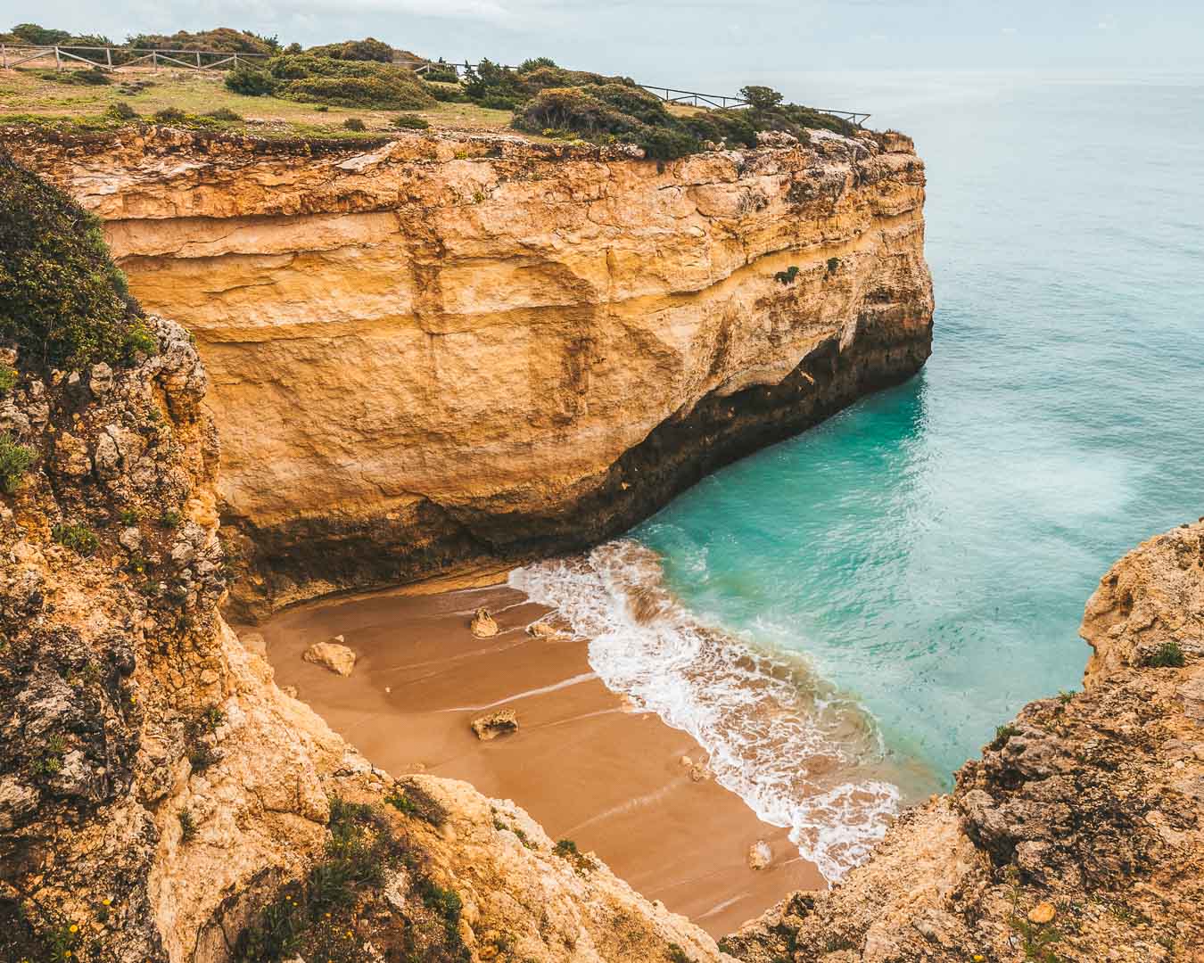 cao raivoso beach