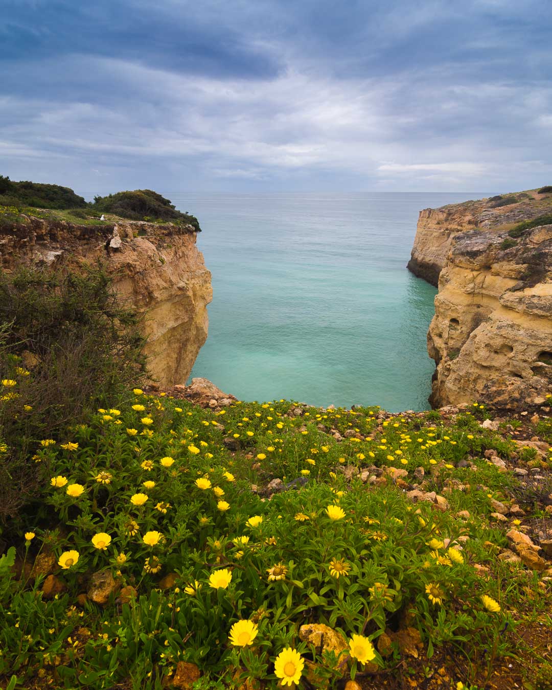 flowers at cao de raivoso beach