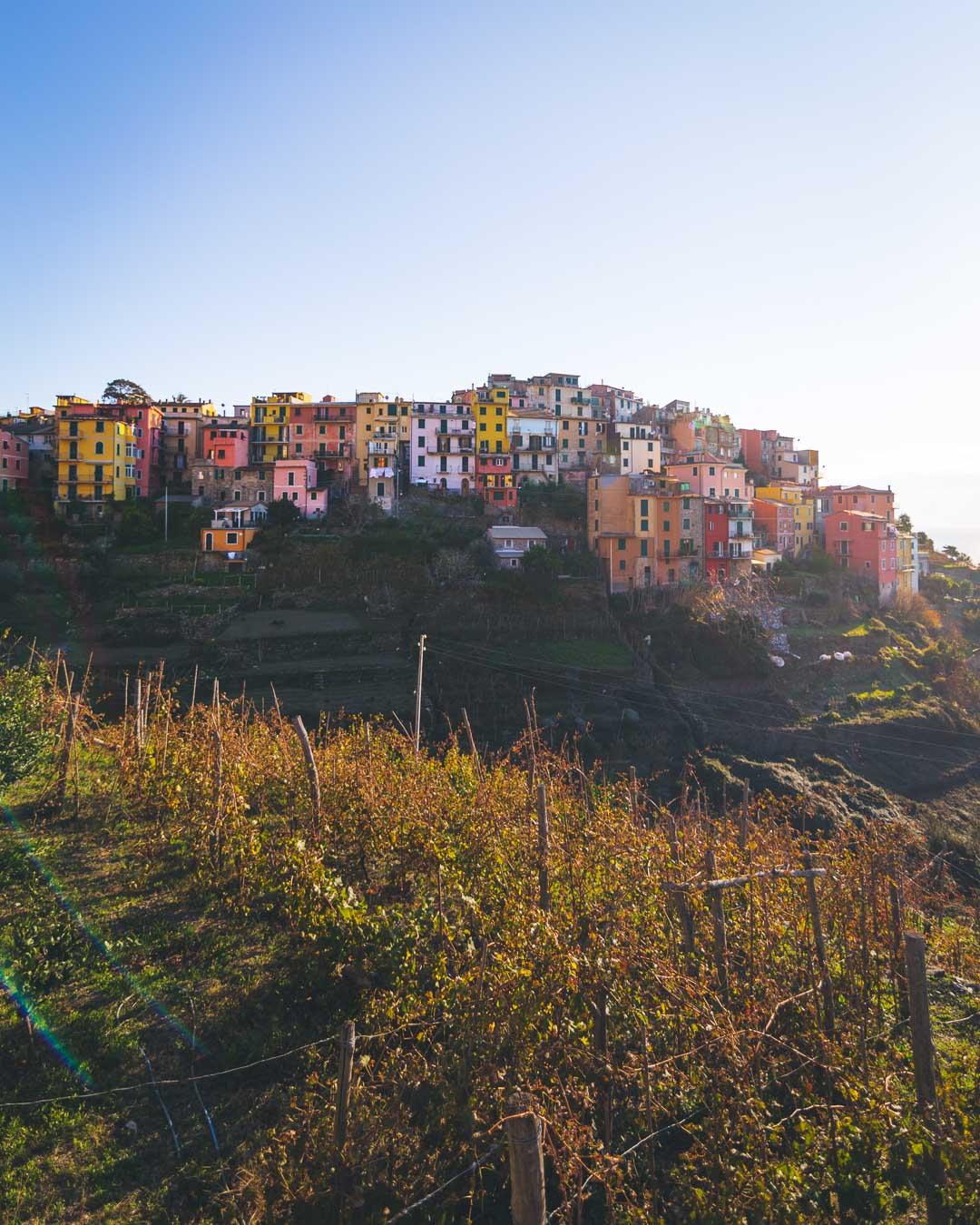 corniglia from the fields