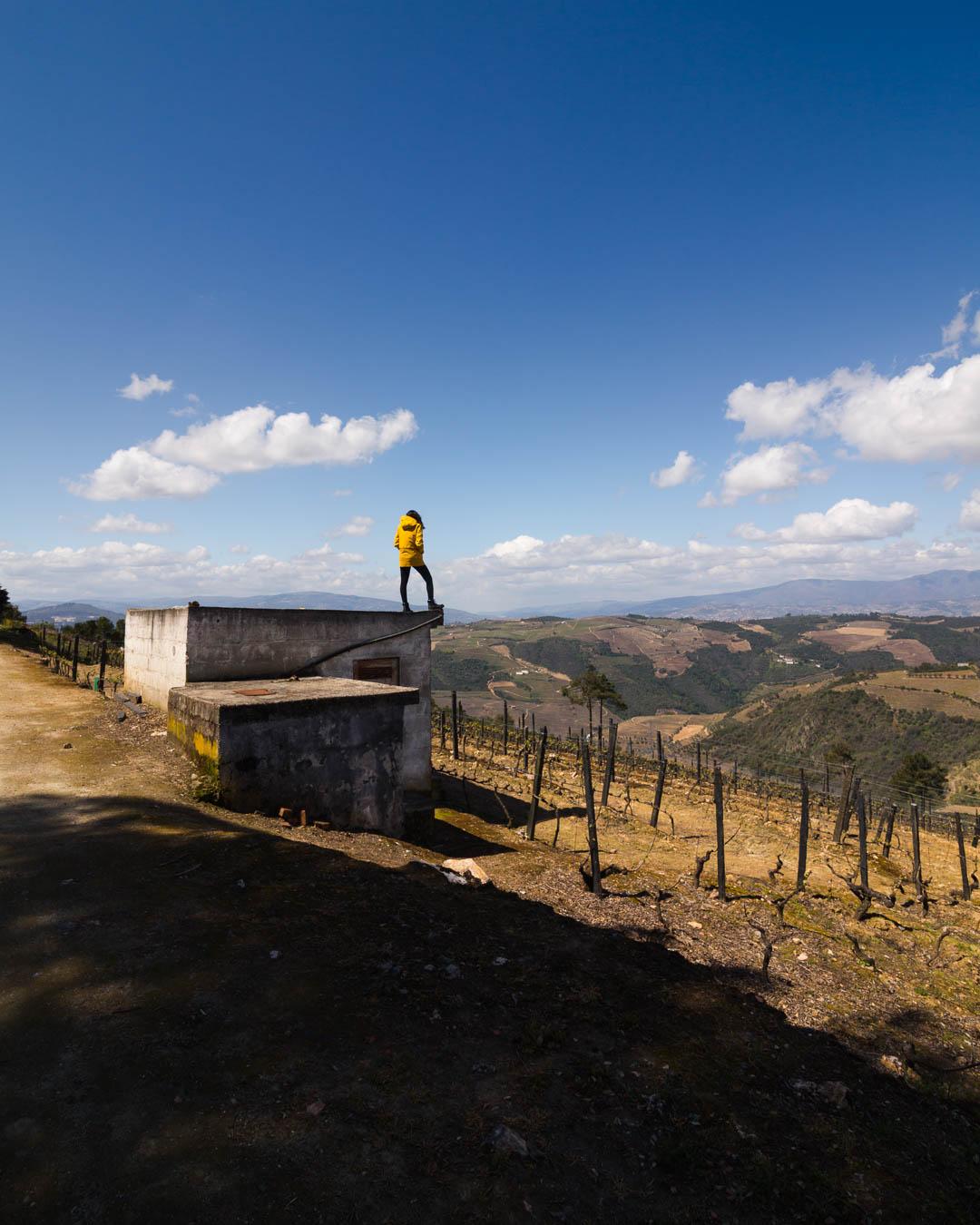 standing above douro valley portugal