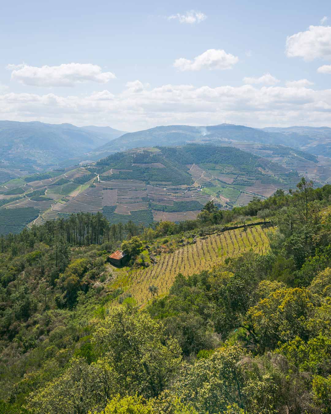 the view over douro valley portugal