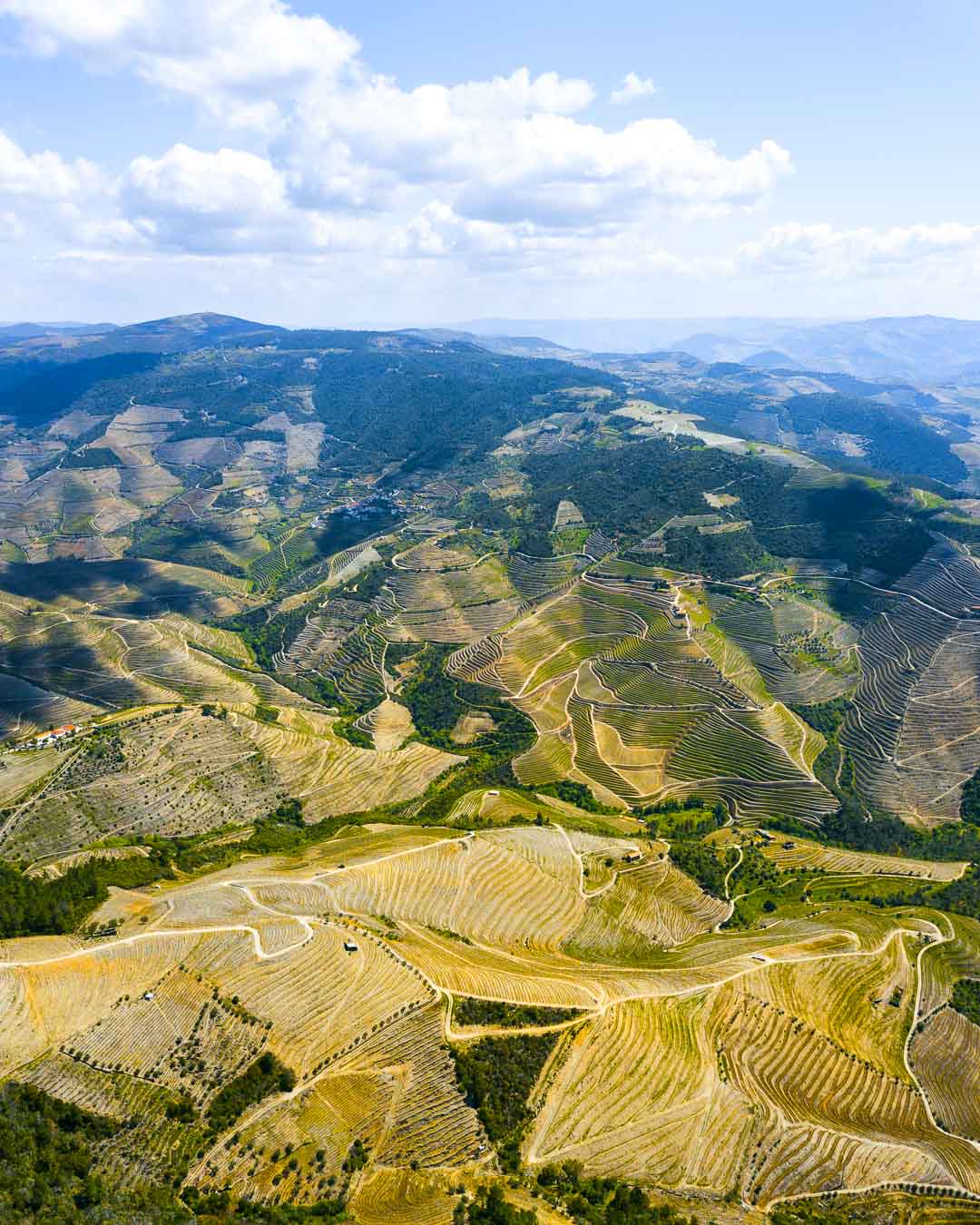 aerial view of douro valley portugal