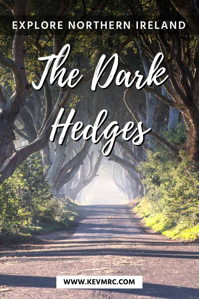 explore northern ireland - the dark hedges