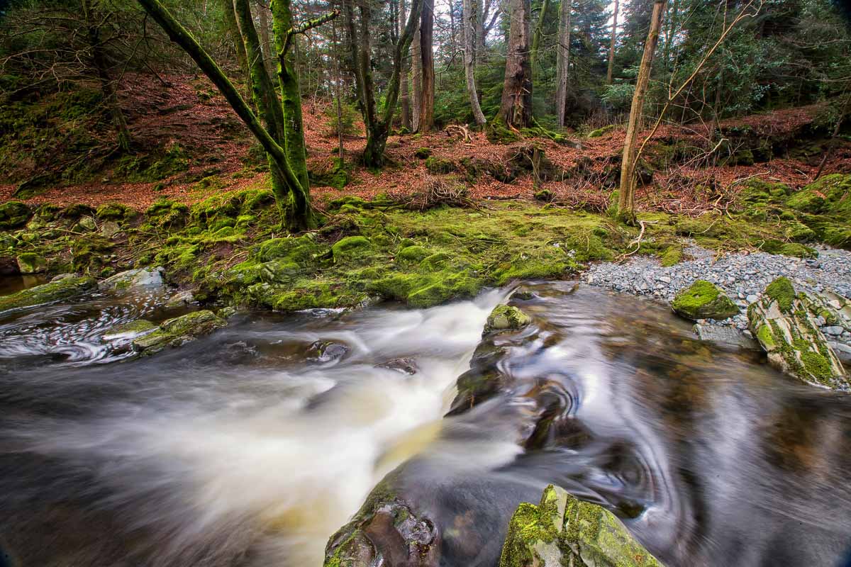game of thrones filming locations ireland tollymore forest land around winterfell