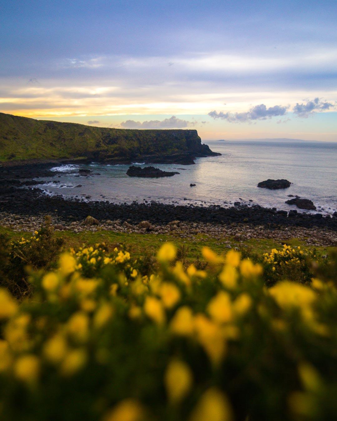 the coast of giant's causeway northern ireland