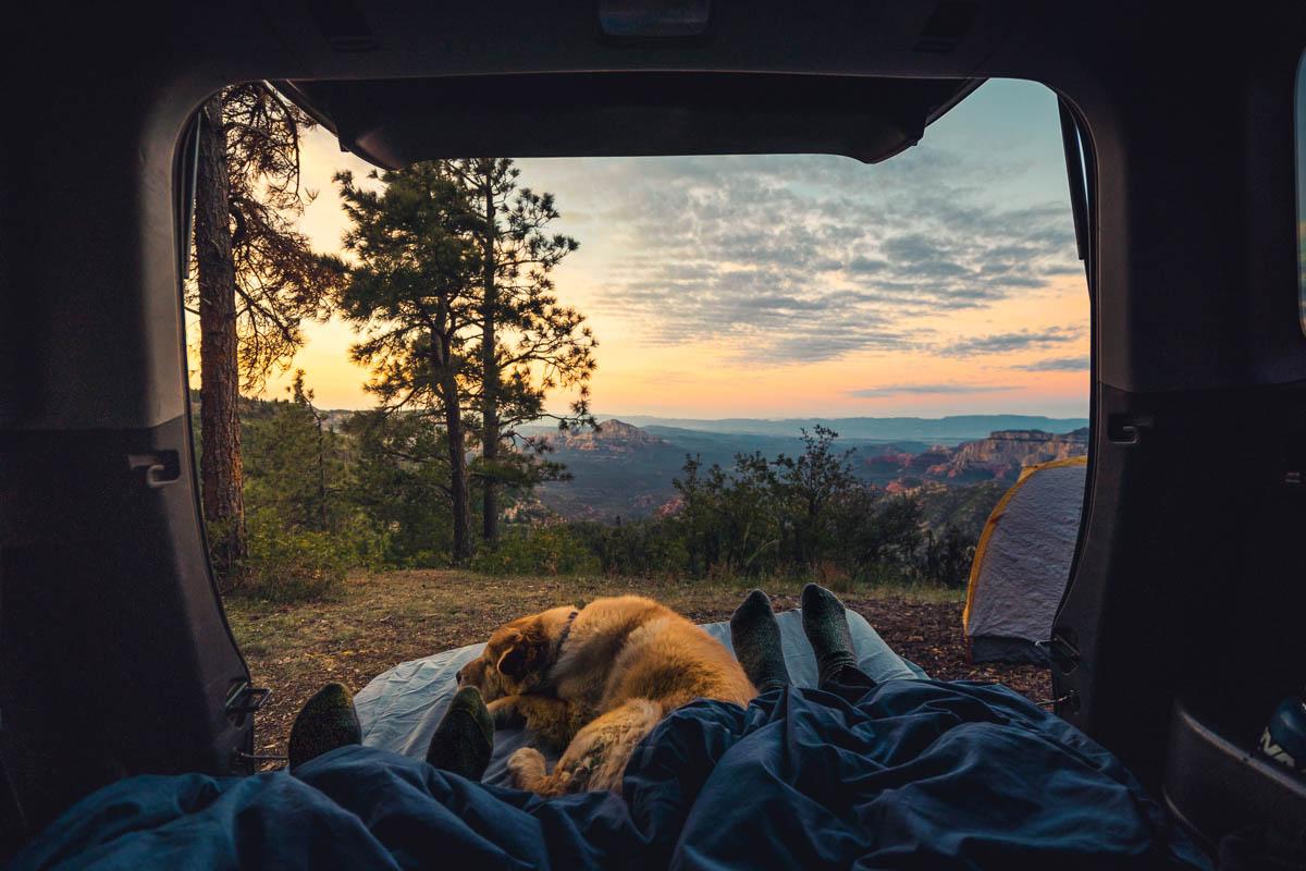 going camping with your dog friendly tent camping