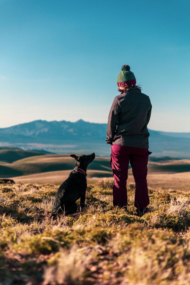 going on a camping trip with your dog