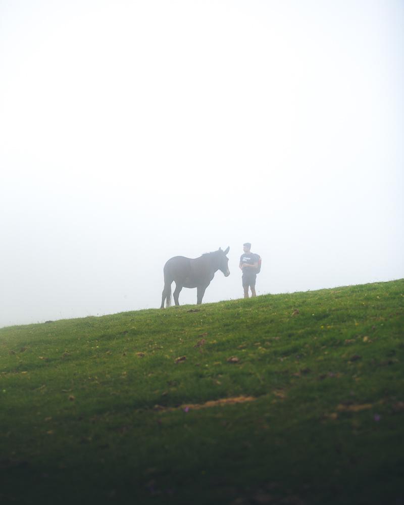 laurent and the horse on the way to sotres