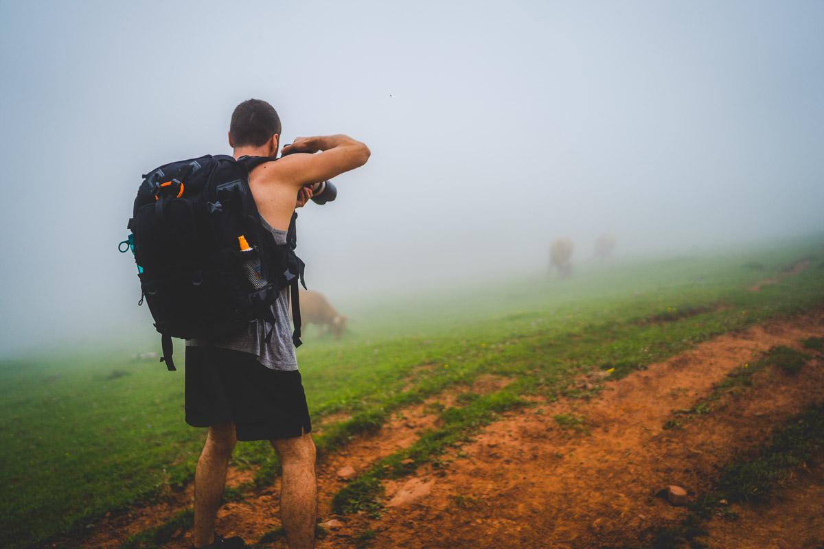 kevmrc taking photos of cows in the fog