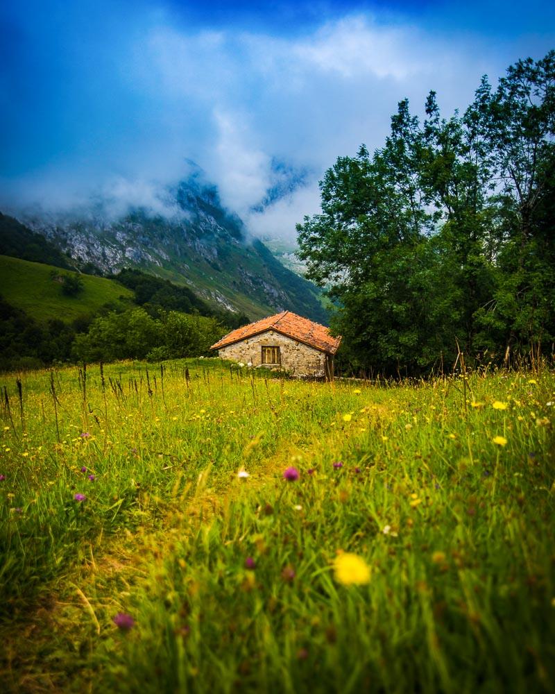 colorful flowers and mountain hut