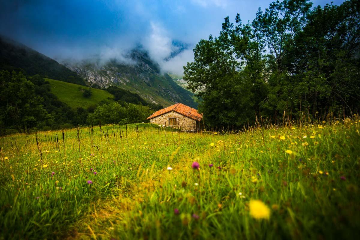 wide version of colorful flowers and mountain hut