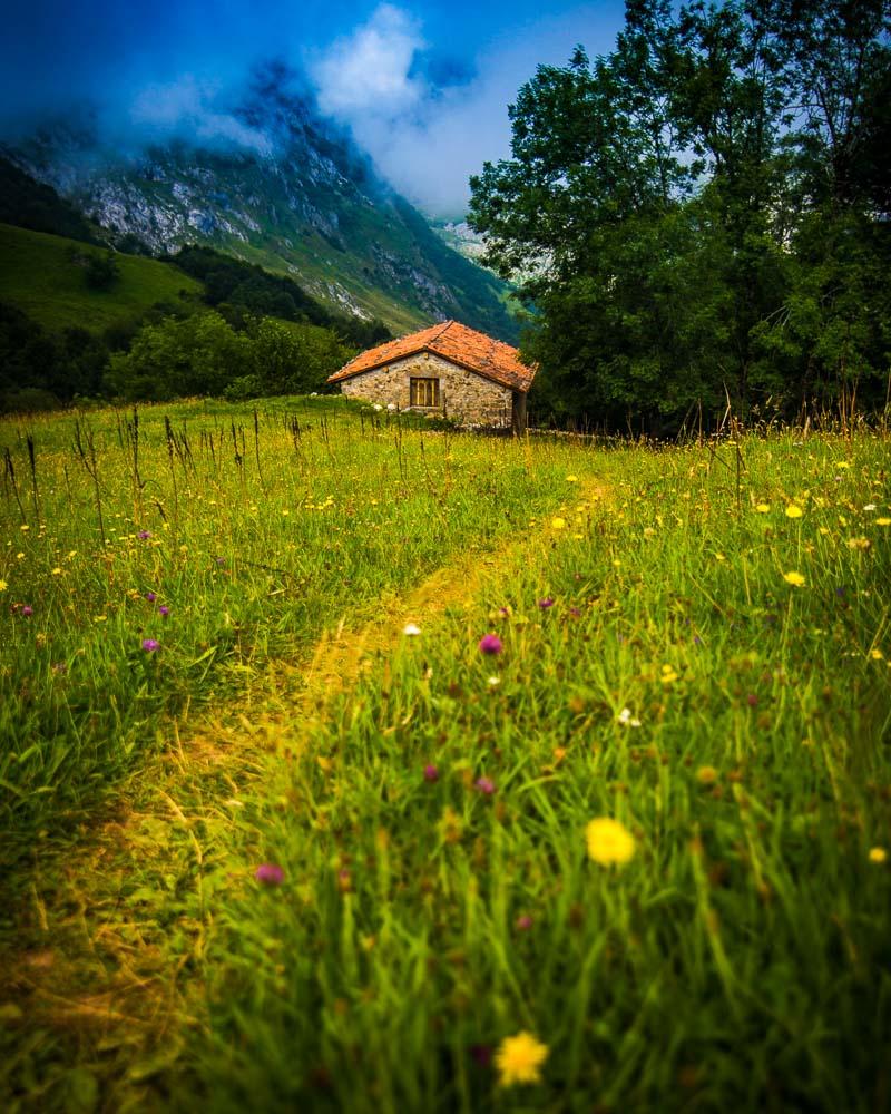 the colors of summer in asturias