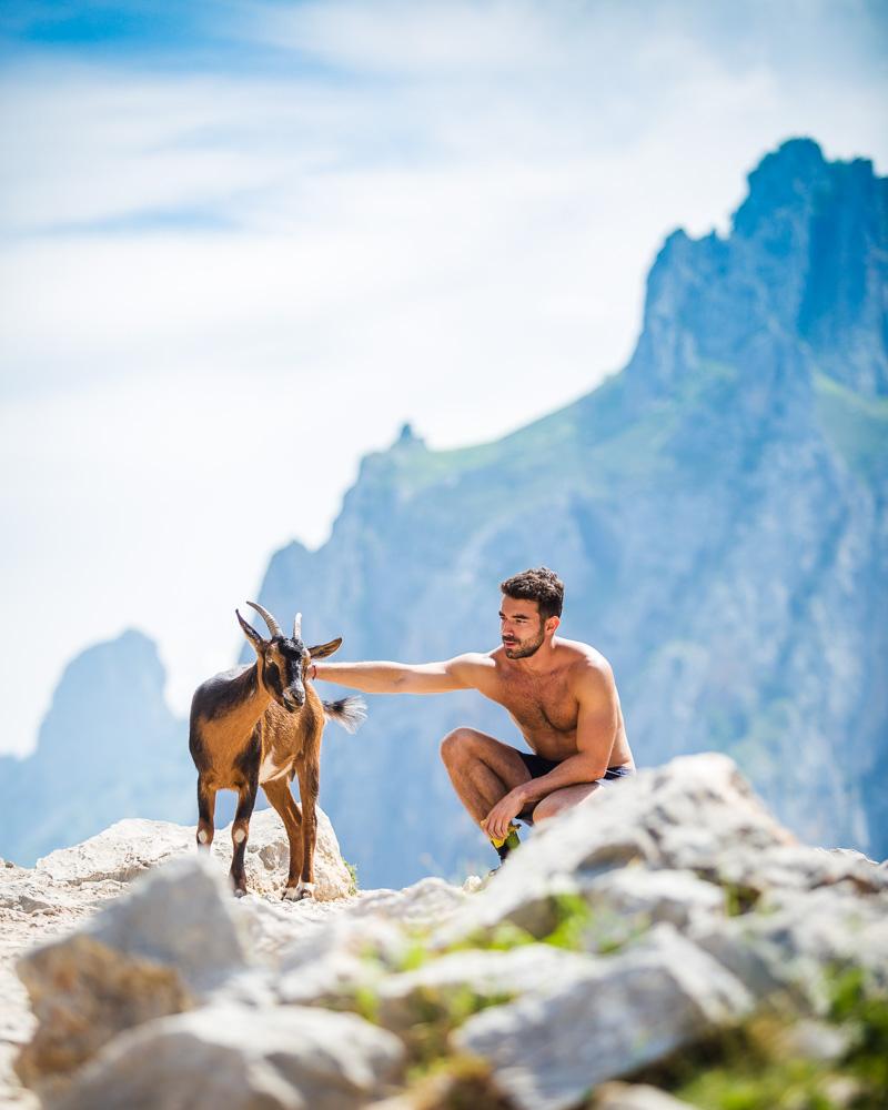 laurent scratching a goat in cares picos de europa