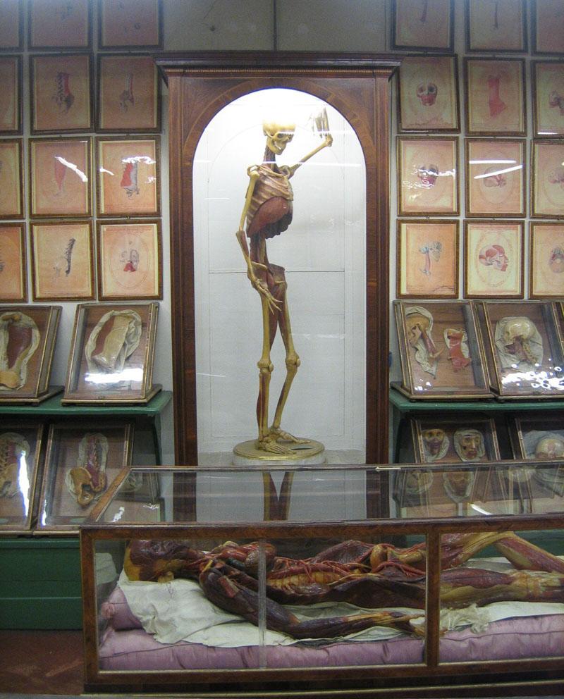la specola anatomy museum in florence italy