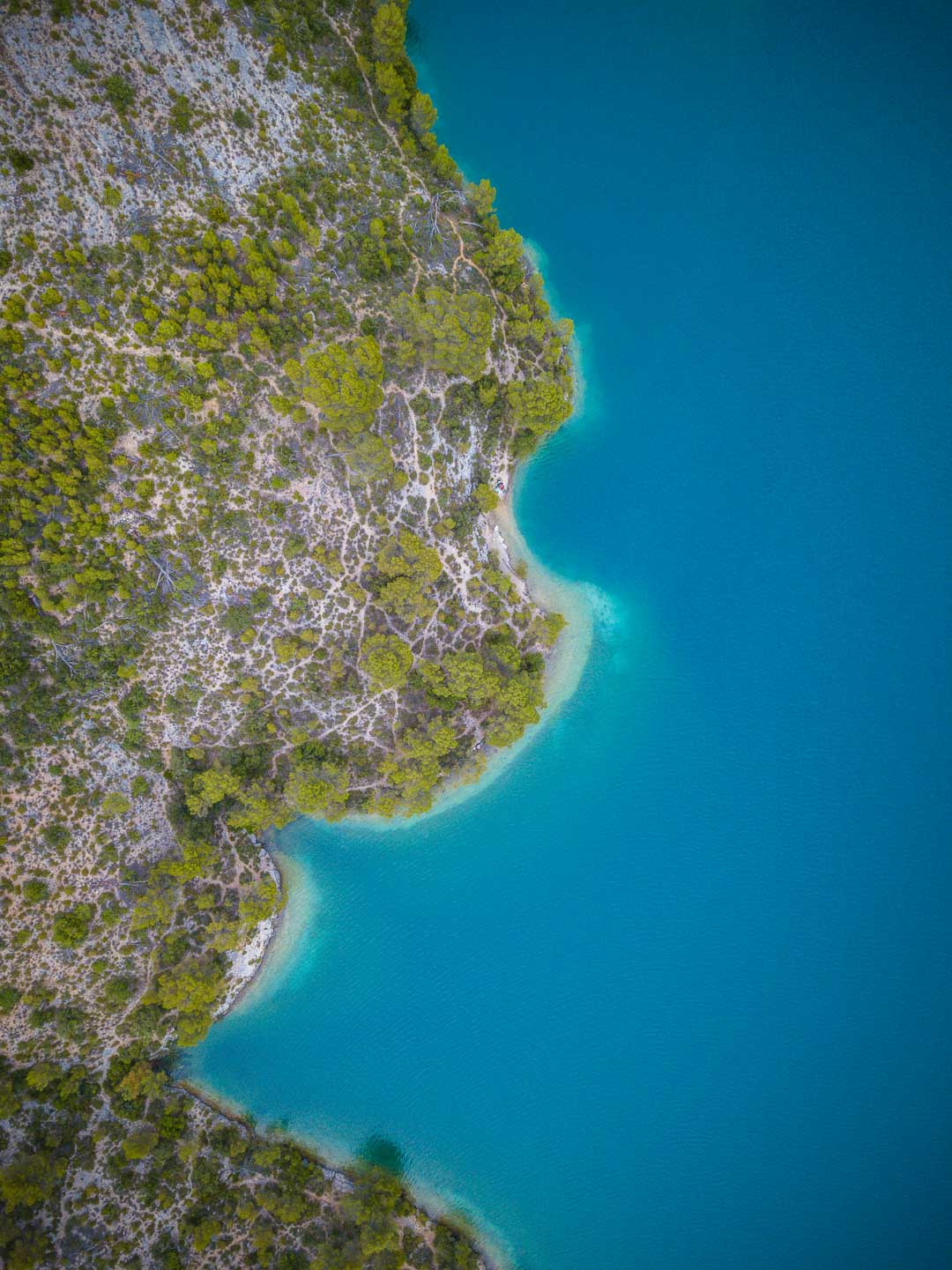 trees and blue water in lac esparron de verdon