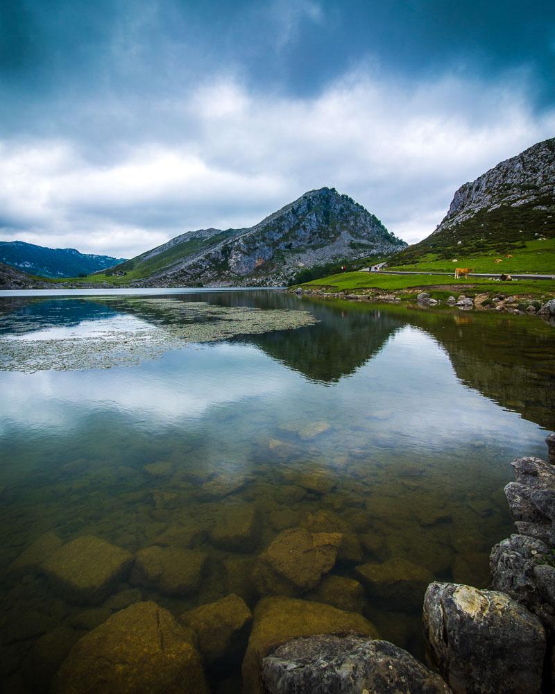 clear water at the covadonga lakes in asturias spain