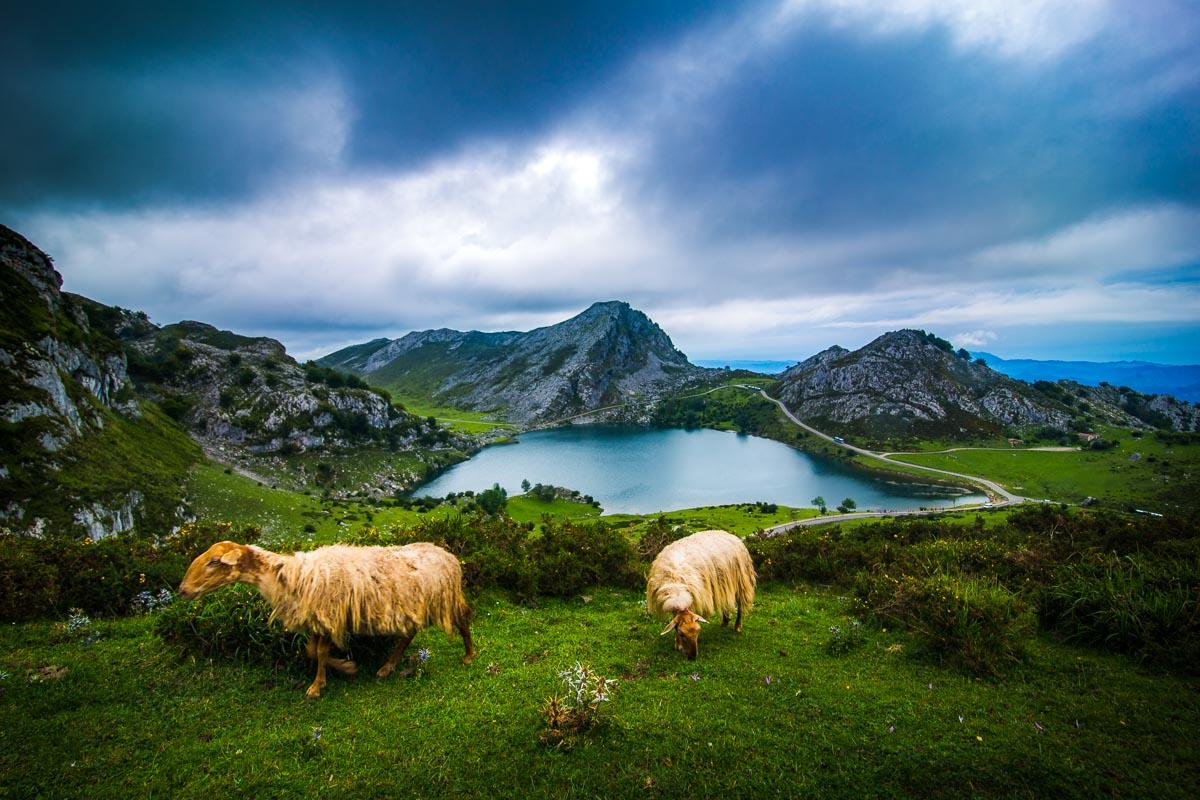 the lagos de covadonga asturias spain