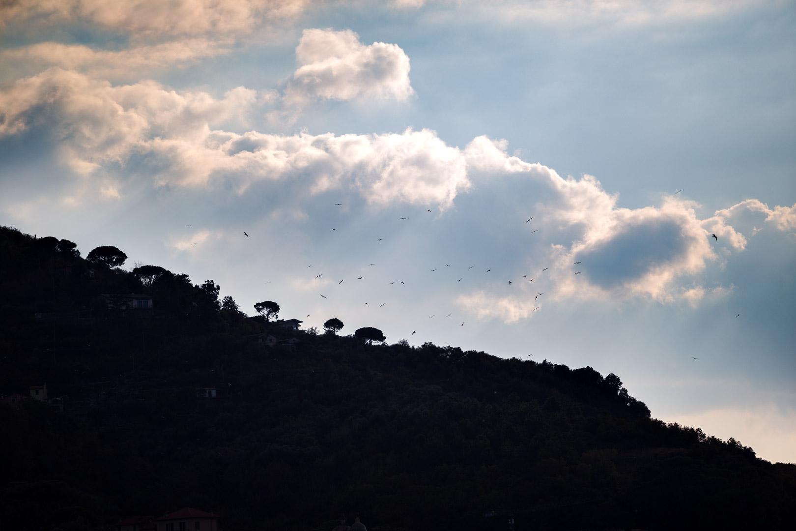 sunset in levanto cinque terre