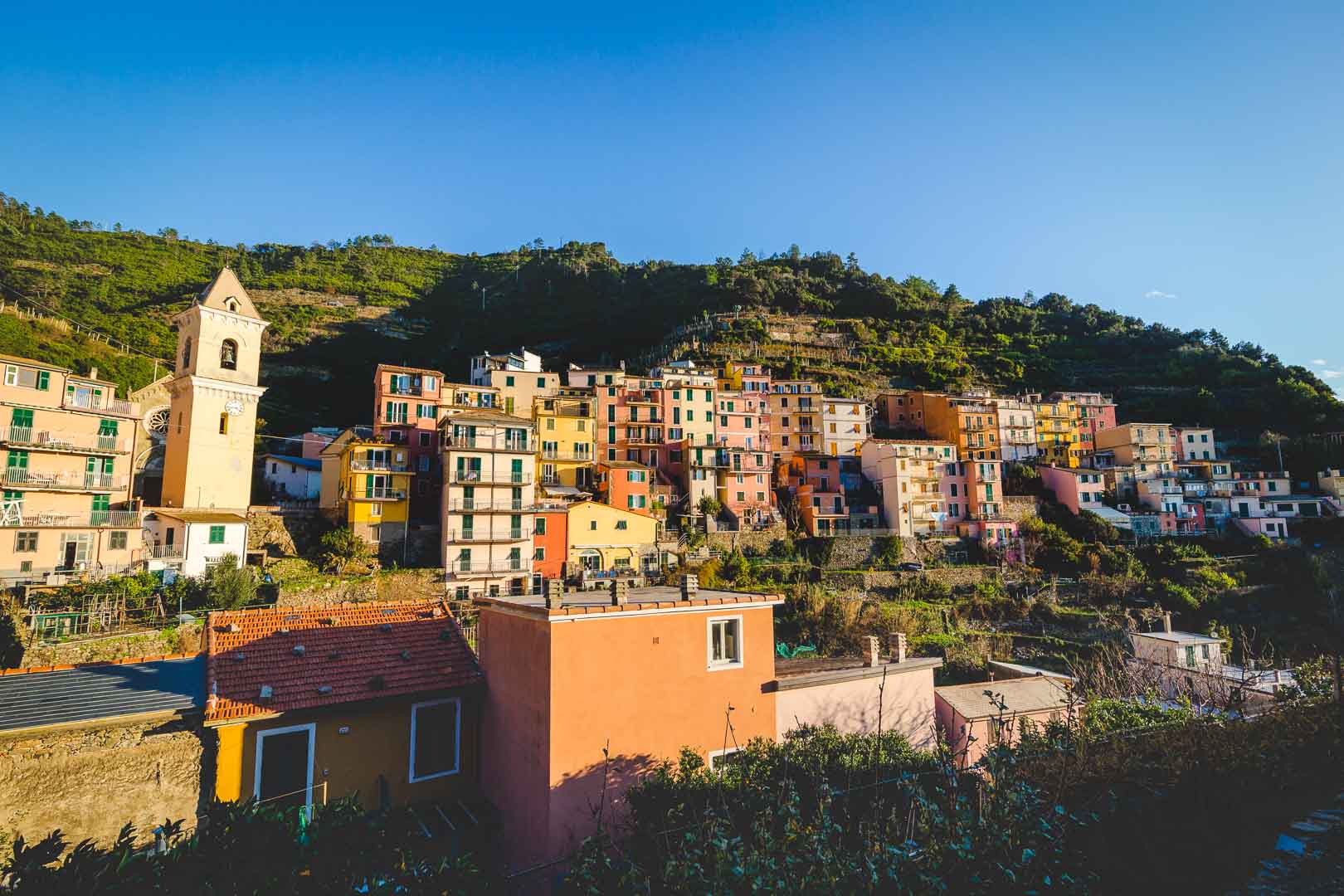 view from the top of manarola