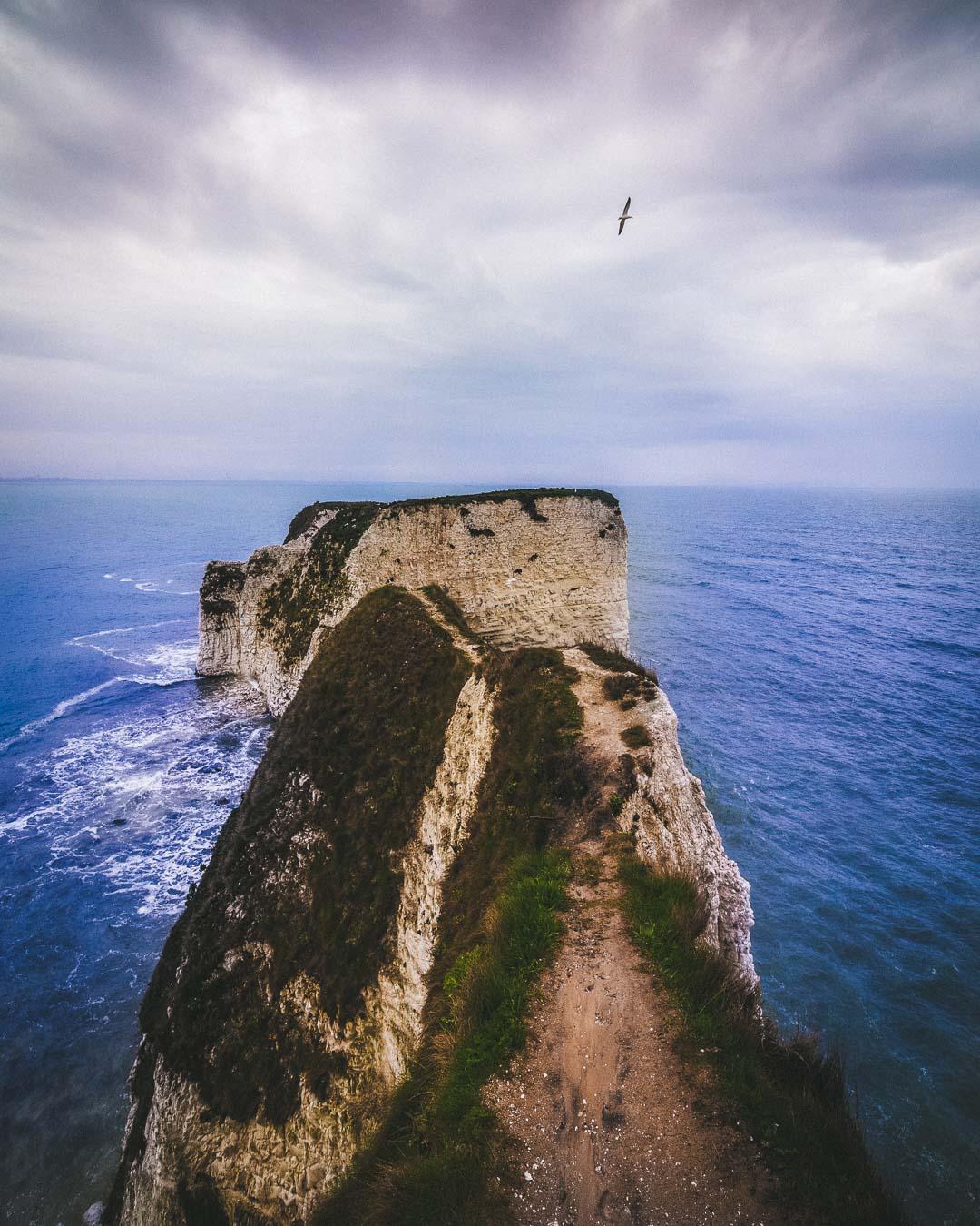 sea stacks main view at old harry rocks