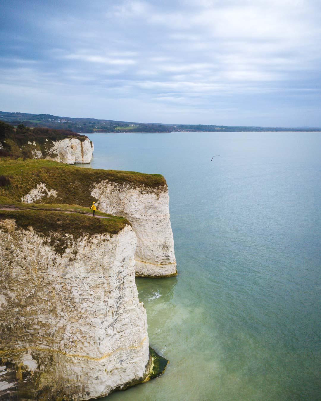 old harry rocks cliffs