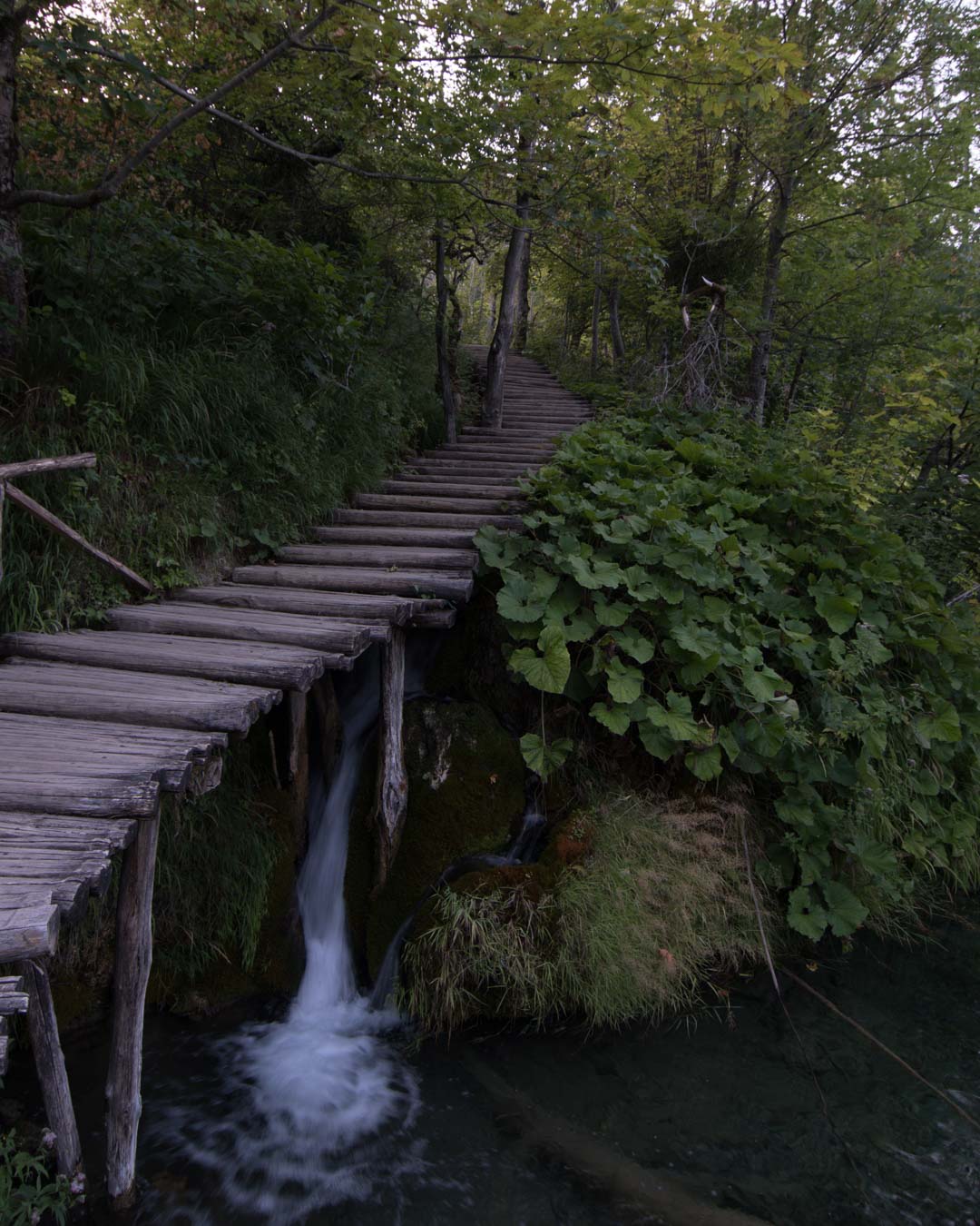 plitvice lakes behind the scenes raw image 3