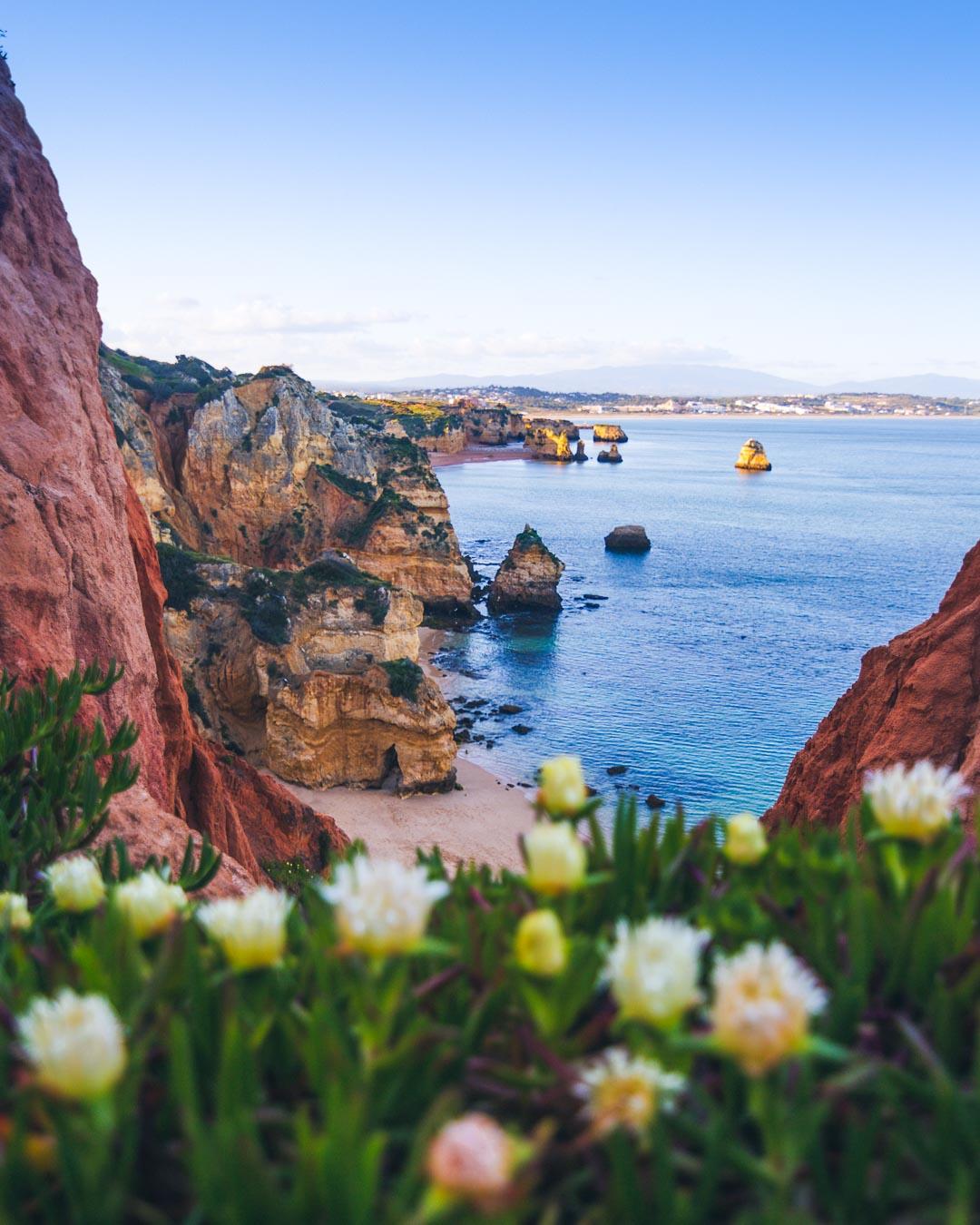 flowers over praia do camilo