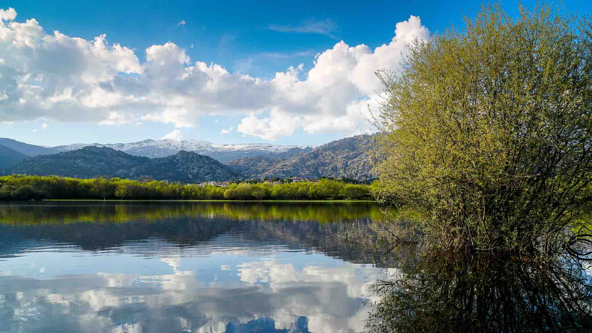 reservoir of manzanares el real spain