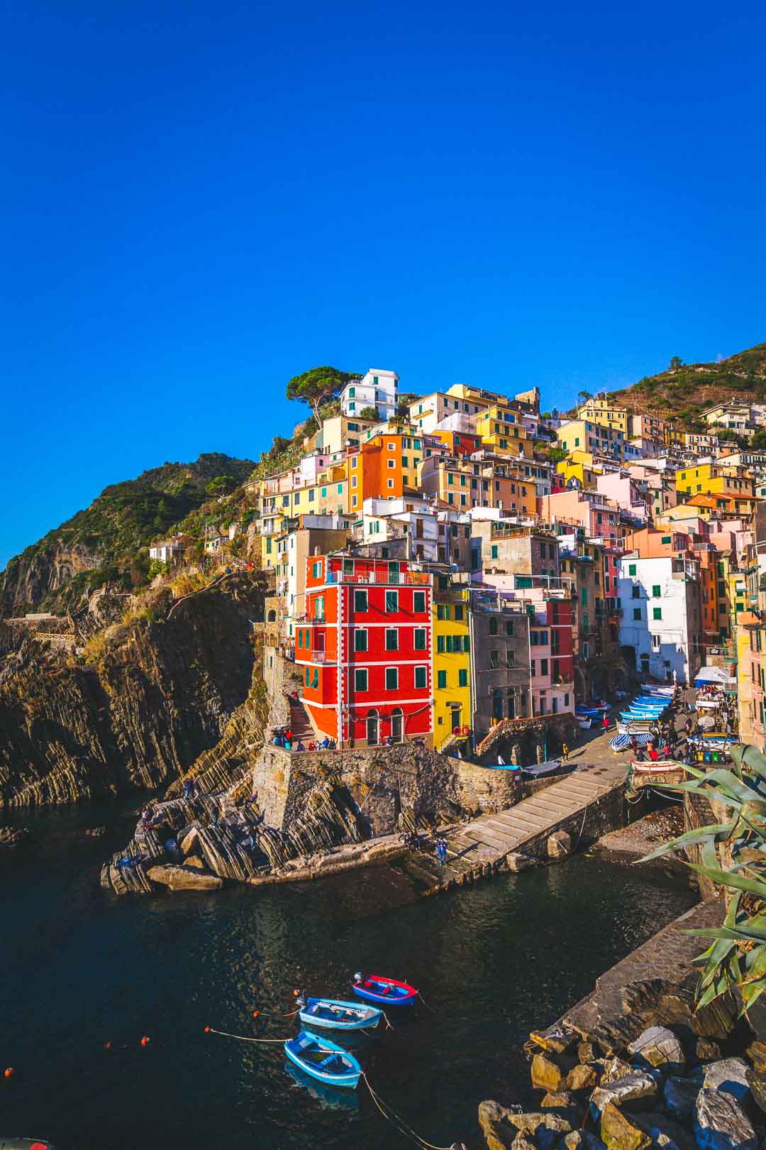 riomaggiore from the main viewpoint