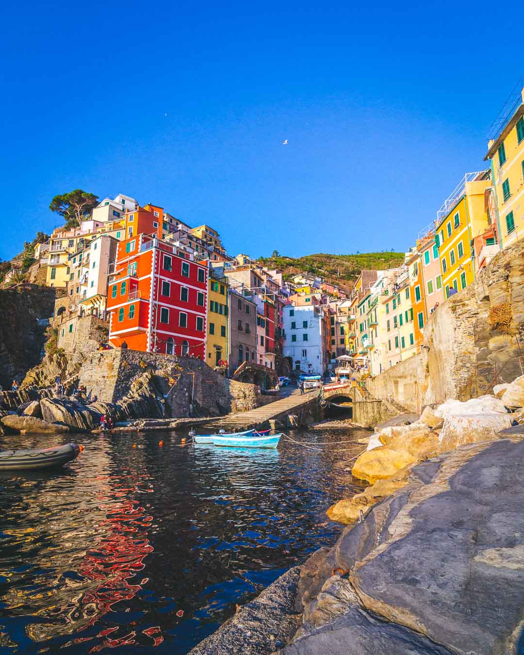 riomaggiore from the rocks