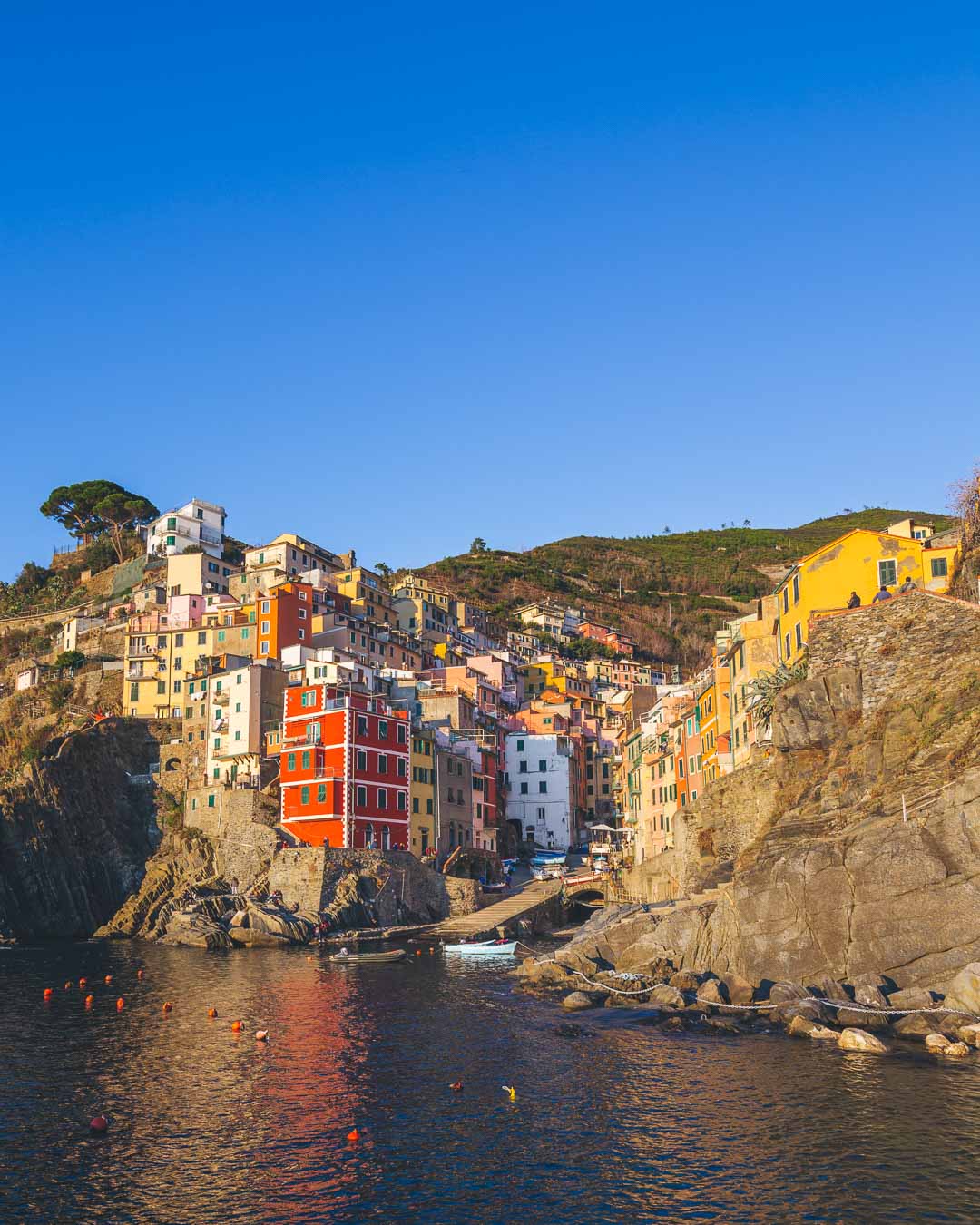 view of riomaggiore from the rocks in the sea