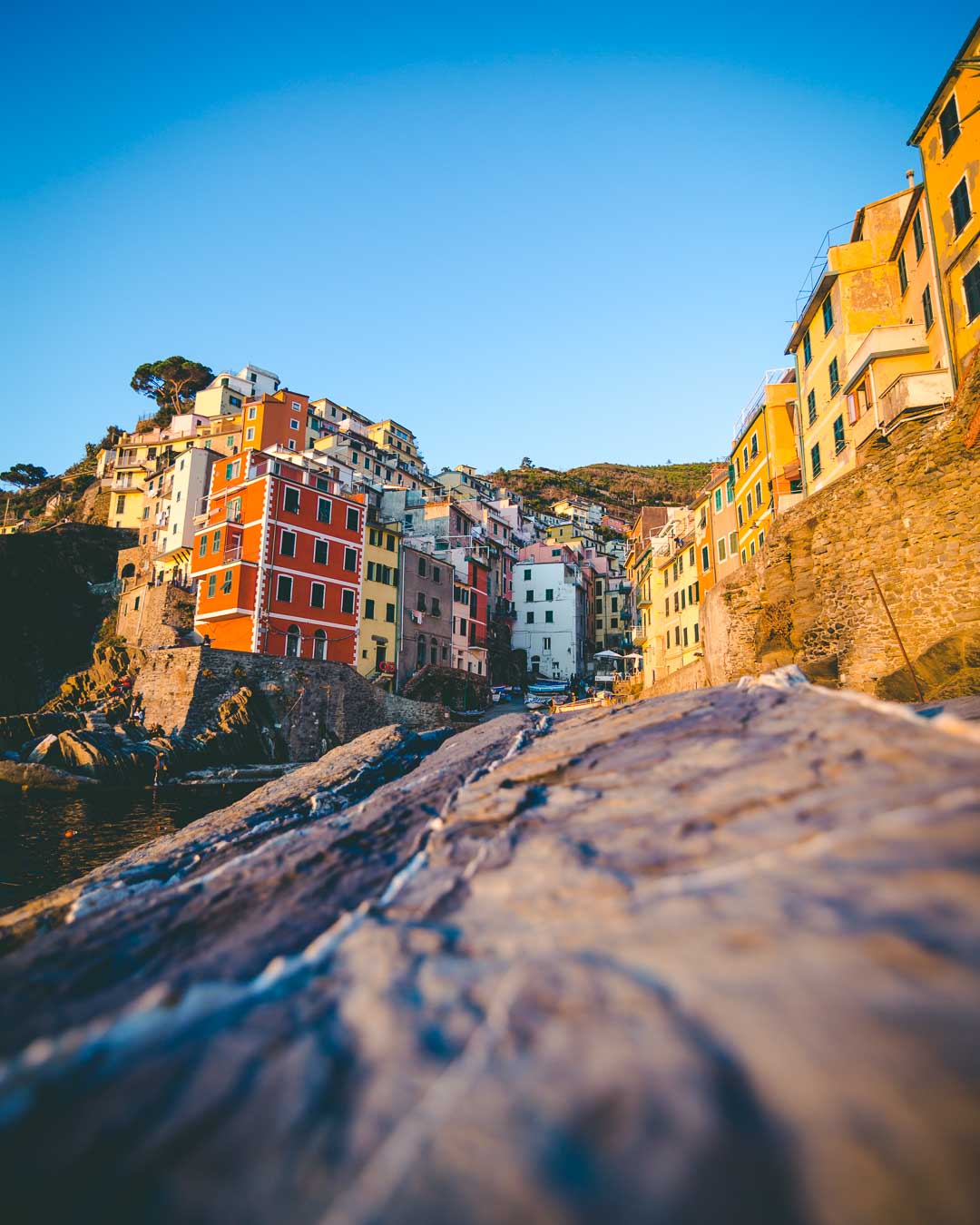 riomaggiore from down the viewpoint