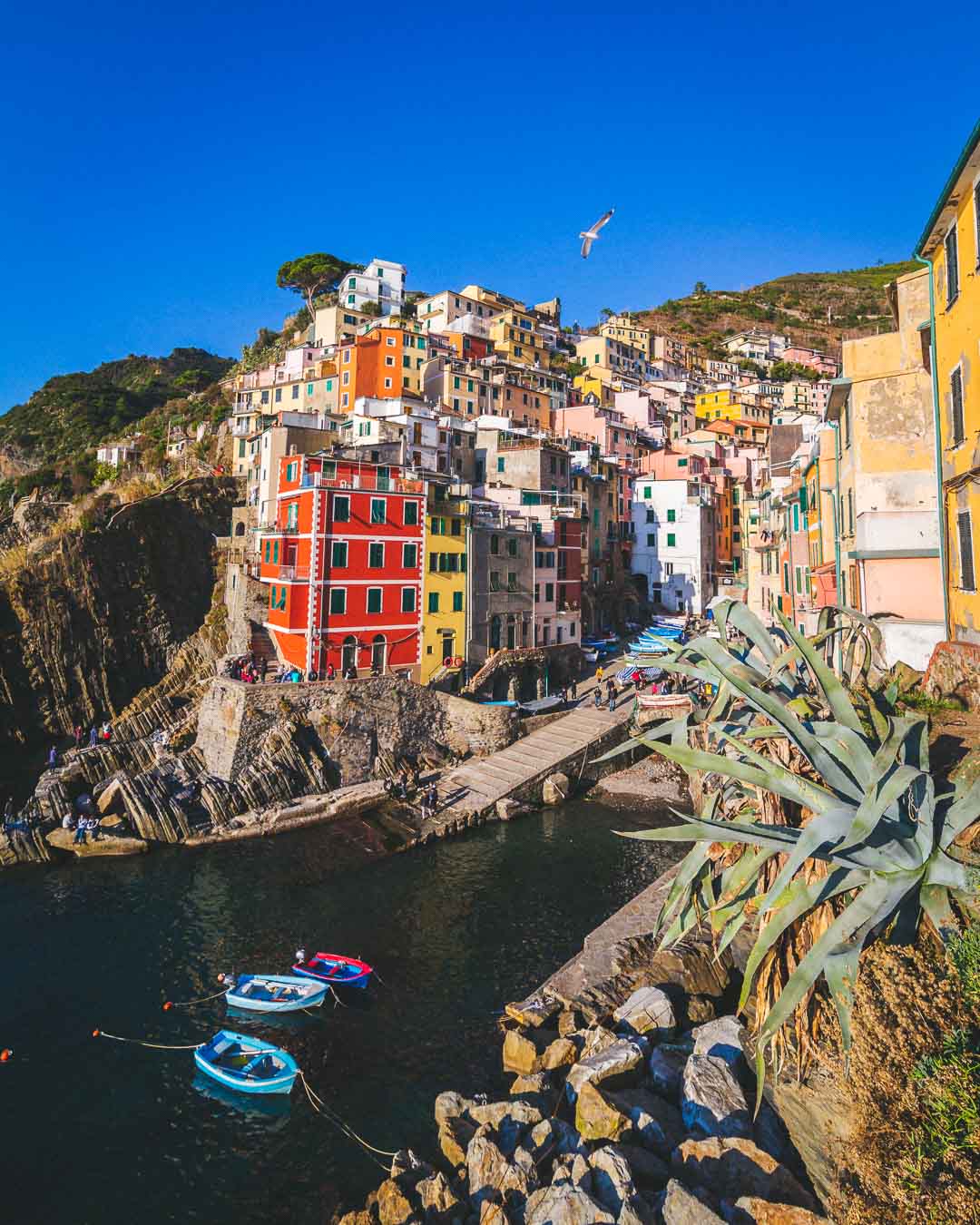 main view over the village of riomaggiore