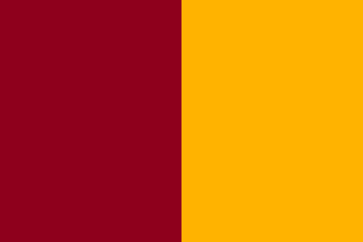 rome flag