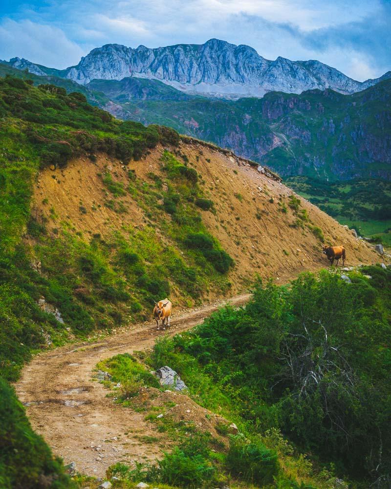 locals on the ruta lagos de saliencia