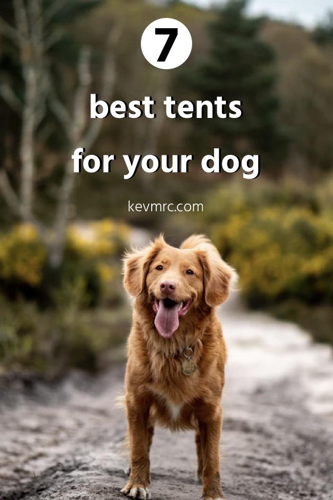The 7 best dog tents to go camping. Best camping tent | Dog accessories | Camping with dogs | Best camping gear for your dog | Camping with your dog | Hiking with dog #camping #hiking #dogcamping