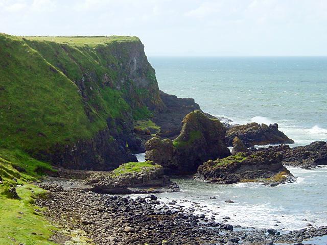 the camel at the giants causeway