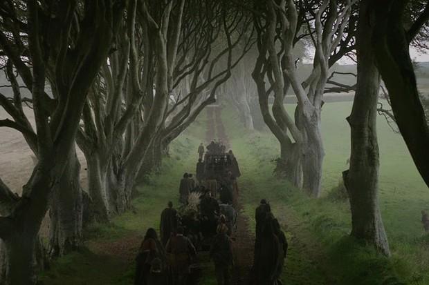 the dark hedges kingsroad in game of thrones