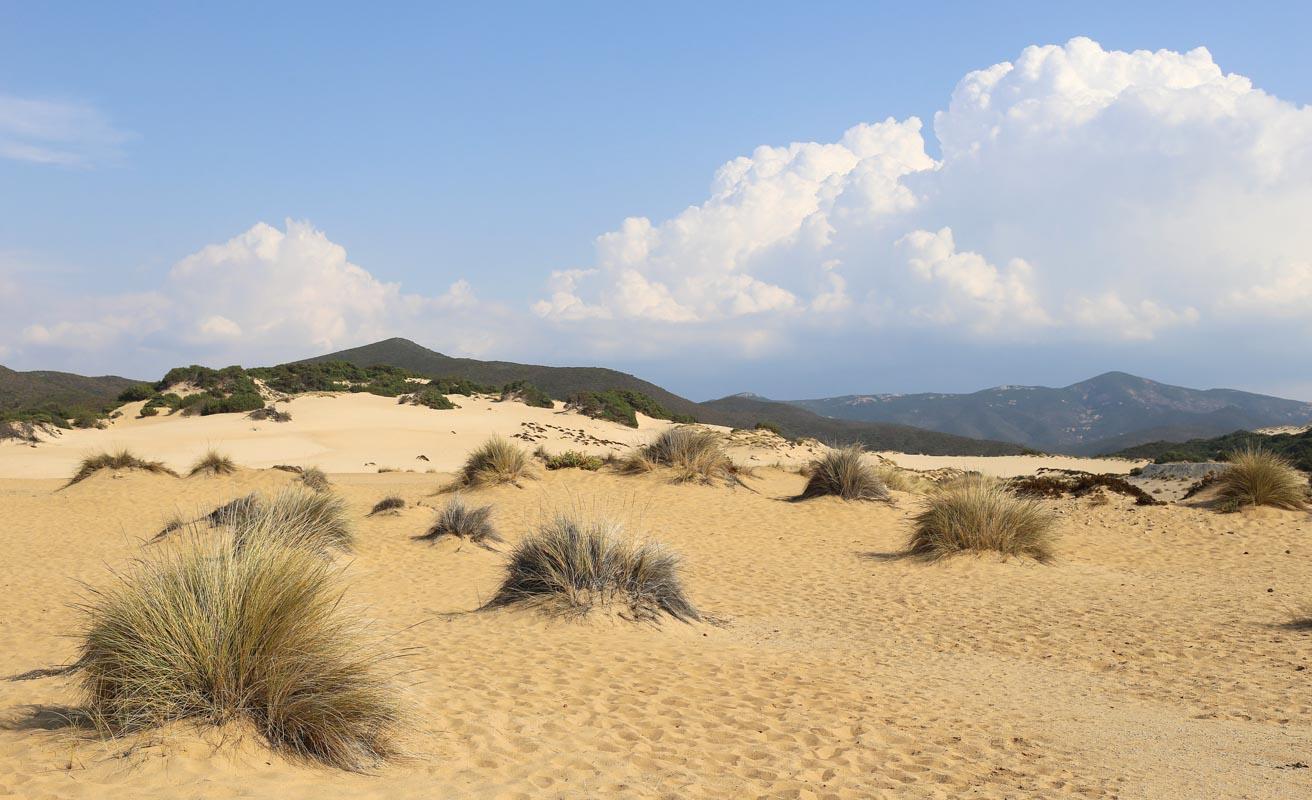 the dunes of piscinas in sardinia italy