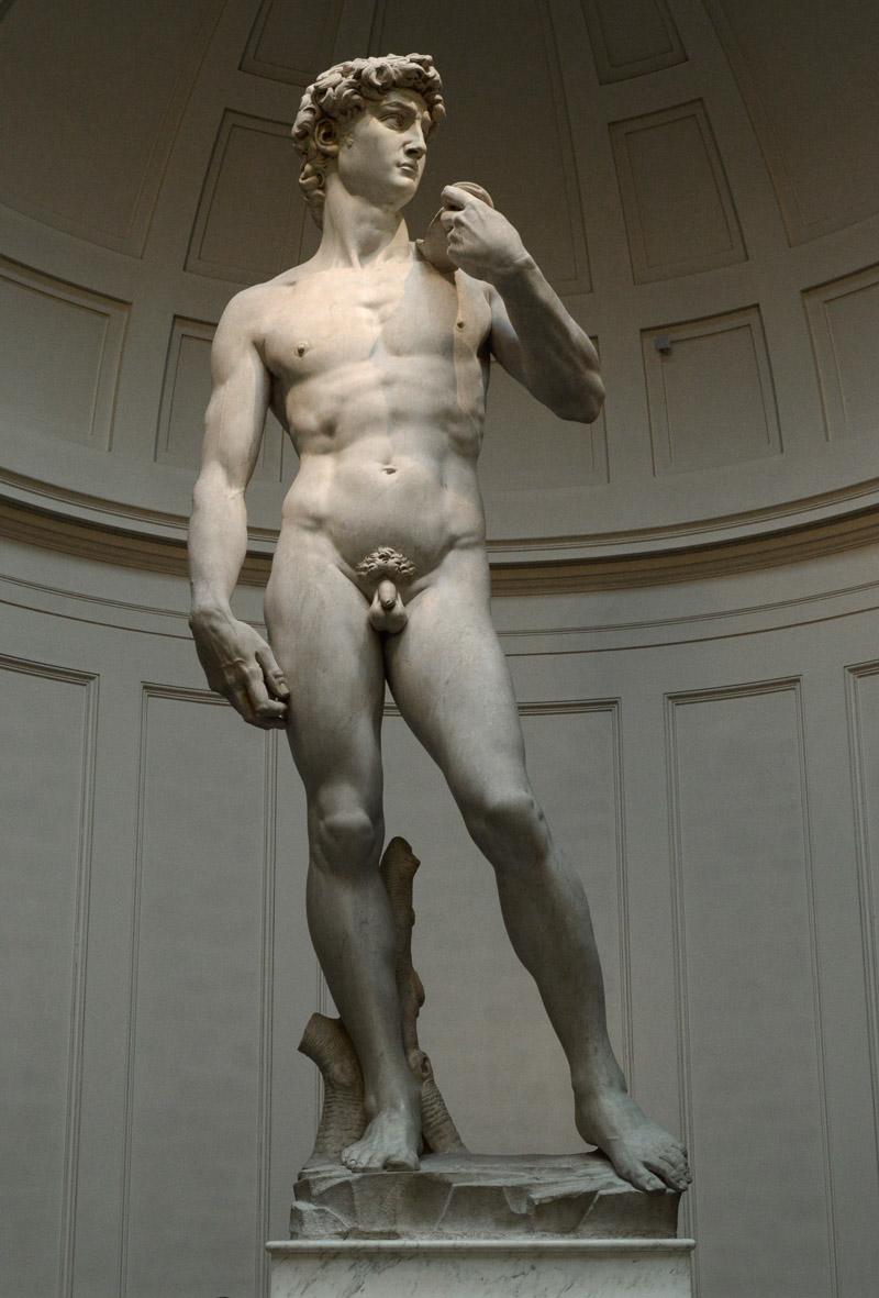 the statue of david from michelangelo