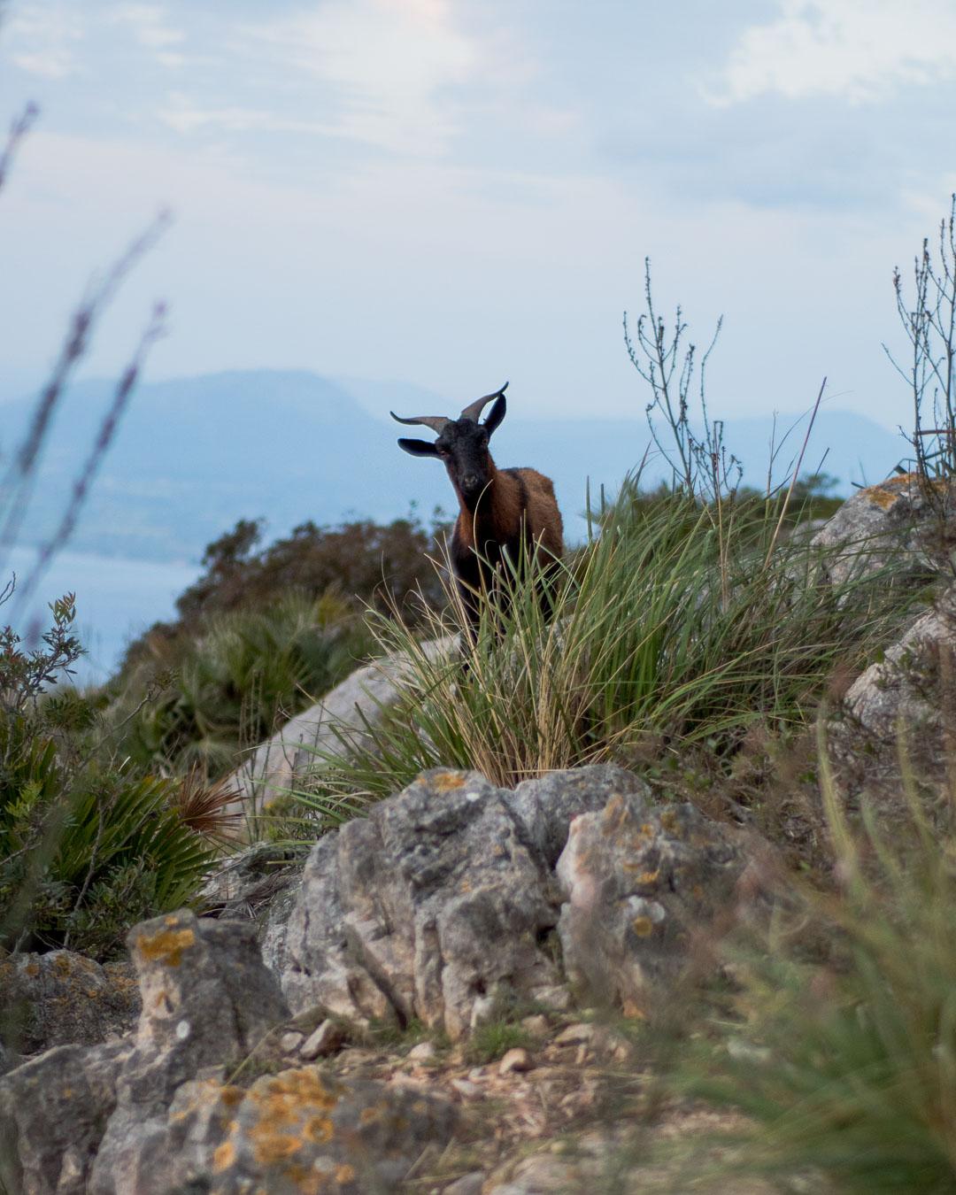 Best Secret spot for Sunrise in Mallorca kevmrc7