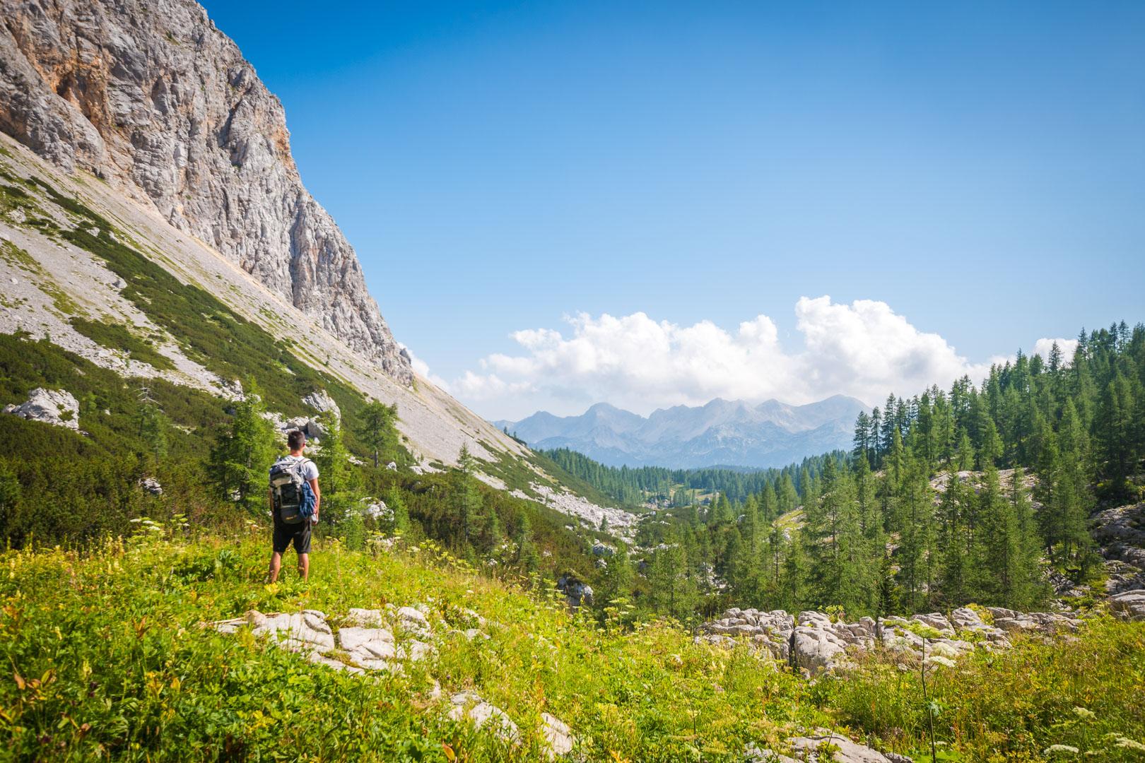 forest views in Triglav Slovenia