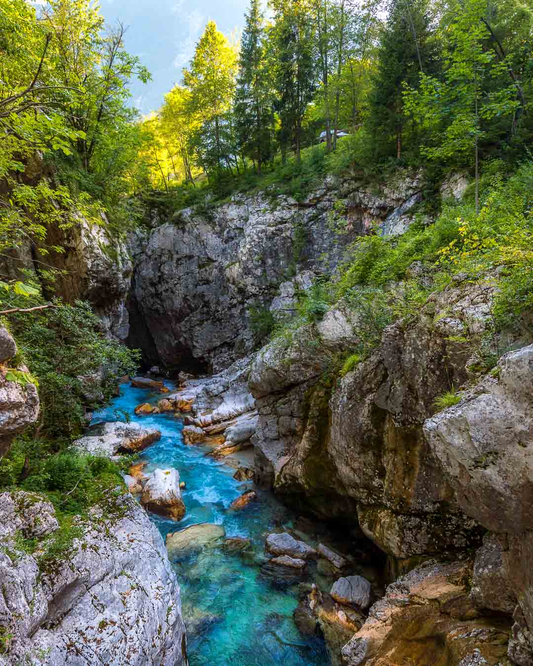 cliff jump in the soca river