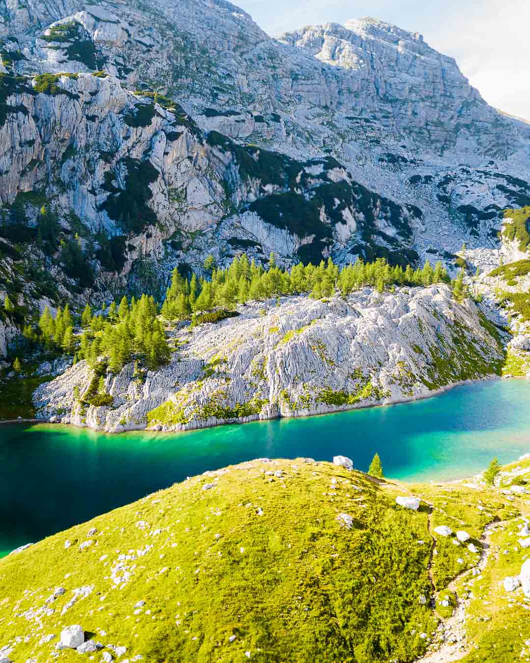 Lush greens in Lake ledvica